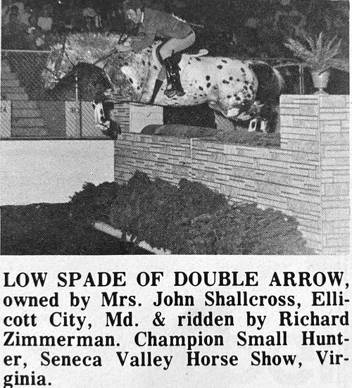 low spade of double arrow