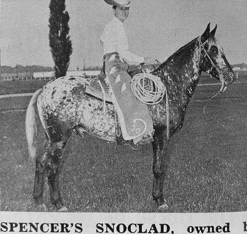 spencers snoclad
