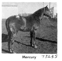 mercuryt3235