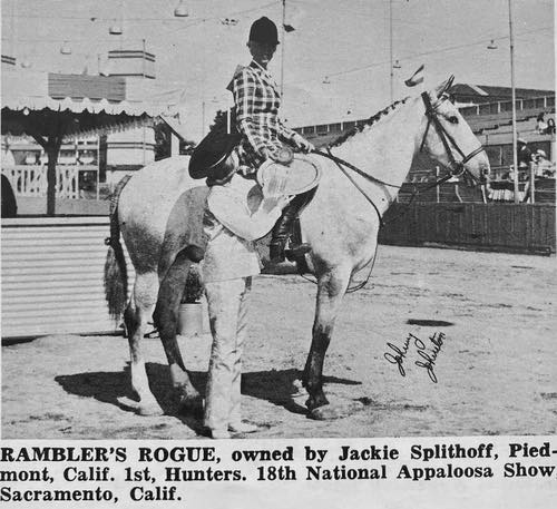 ramblers rogue