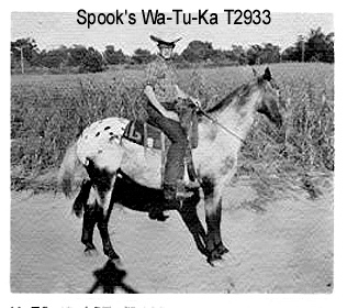 spookswatukat2933