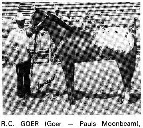 RCGoer