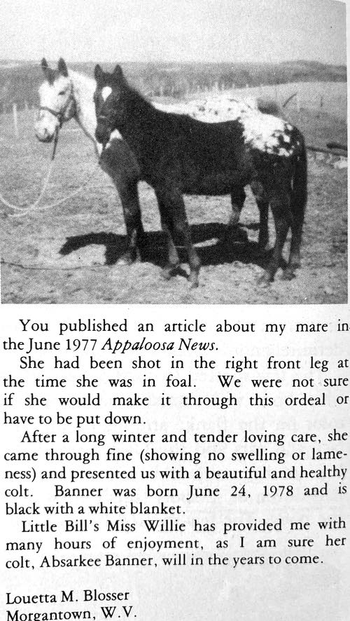 litle bills miss willi