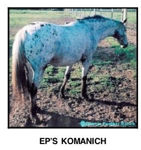 EPsKomanich