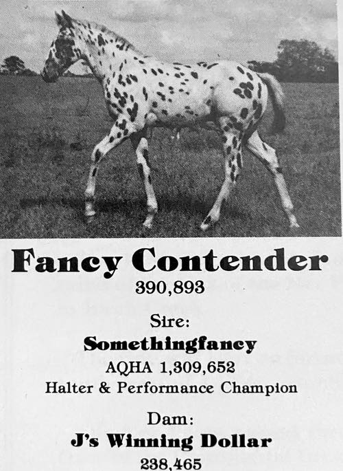 FancyContender