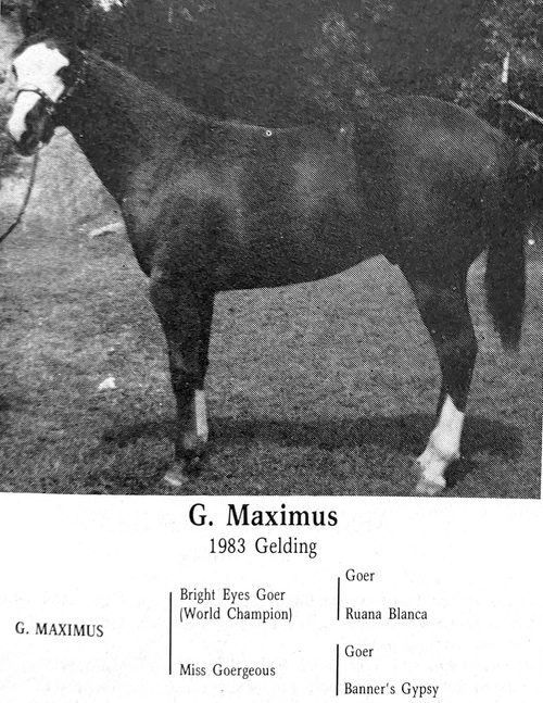 GMaximus