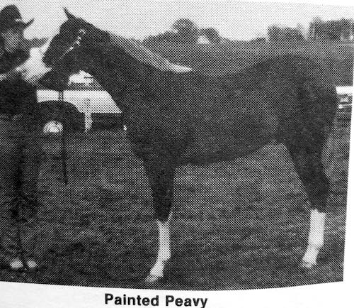 PaintedPeavy