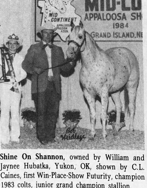 ShineOnShannon