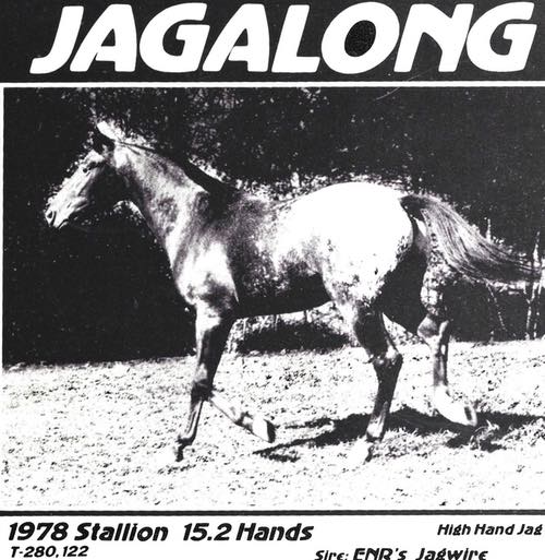 jagalong