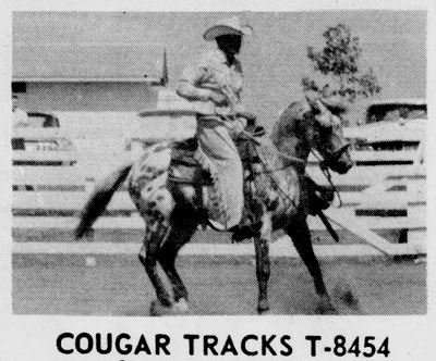 cougartracks8454