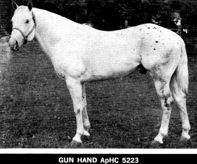 gunhand5223