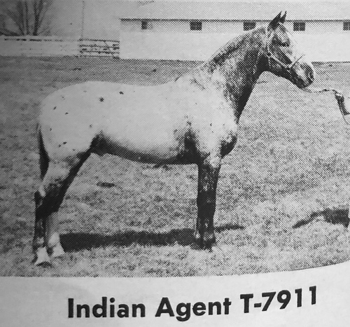 indian agent