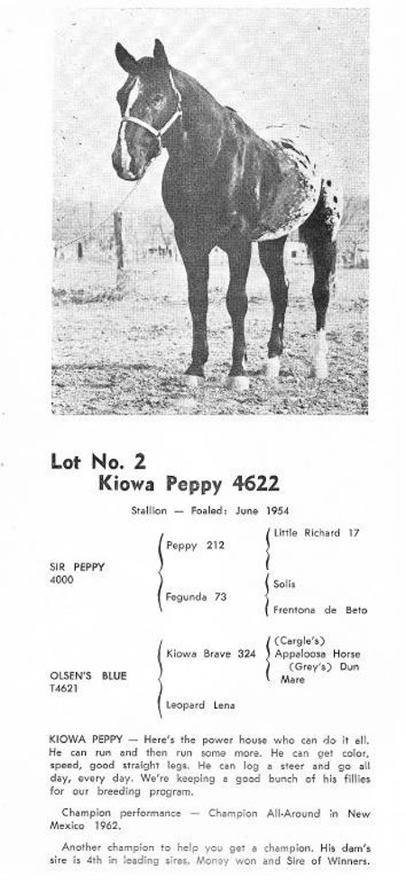 kiowapeppy