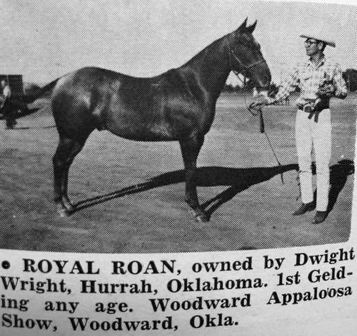 royal roan