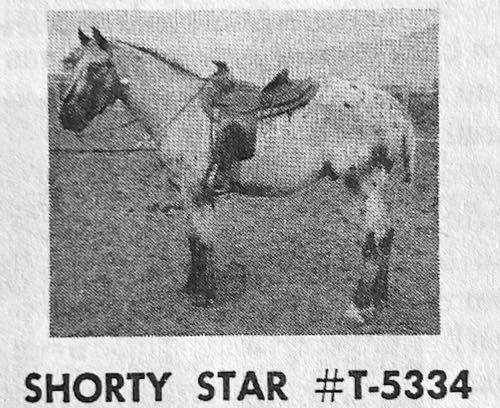 shorty star