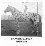 bambie